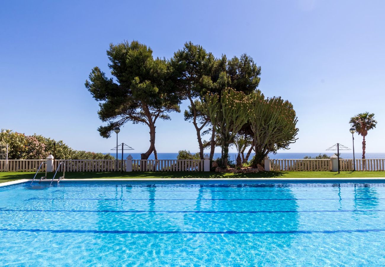 Estudio en Gran Alacant - Rincón de paz - Piscina & relax 