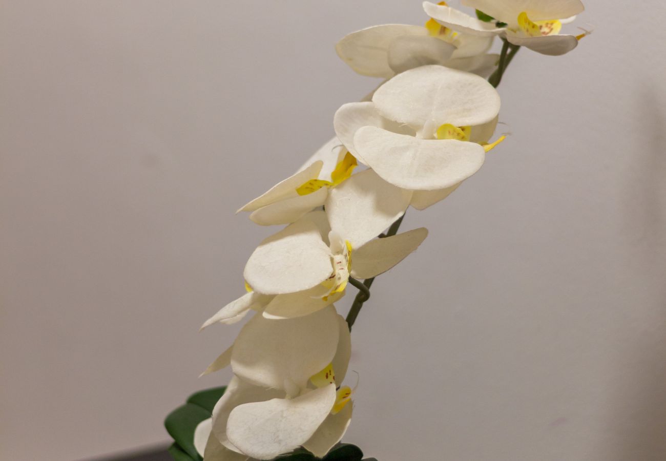 Apartamento en Torrevieja - Bahía Azul - Ideal para el relax y teletrabajo