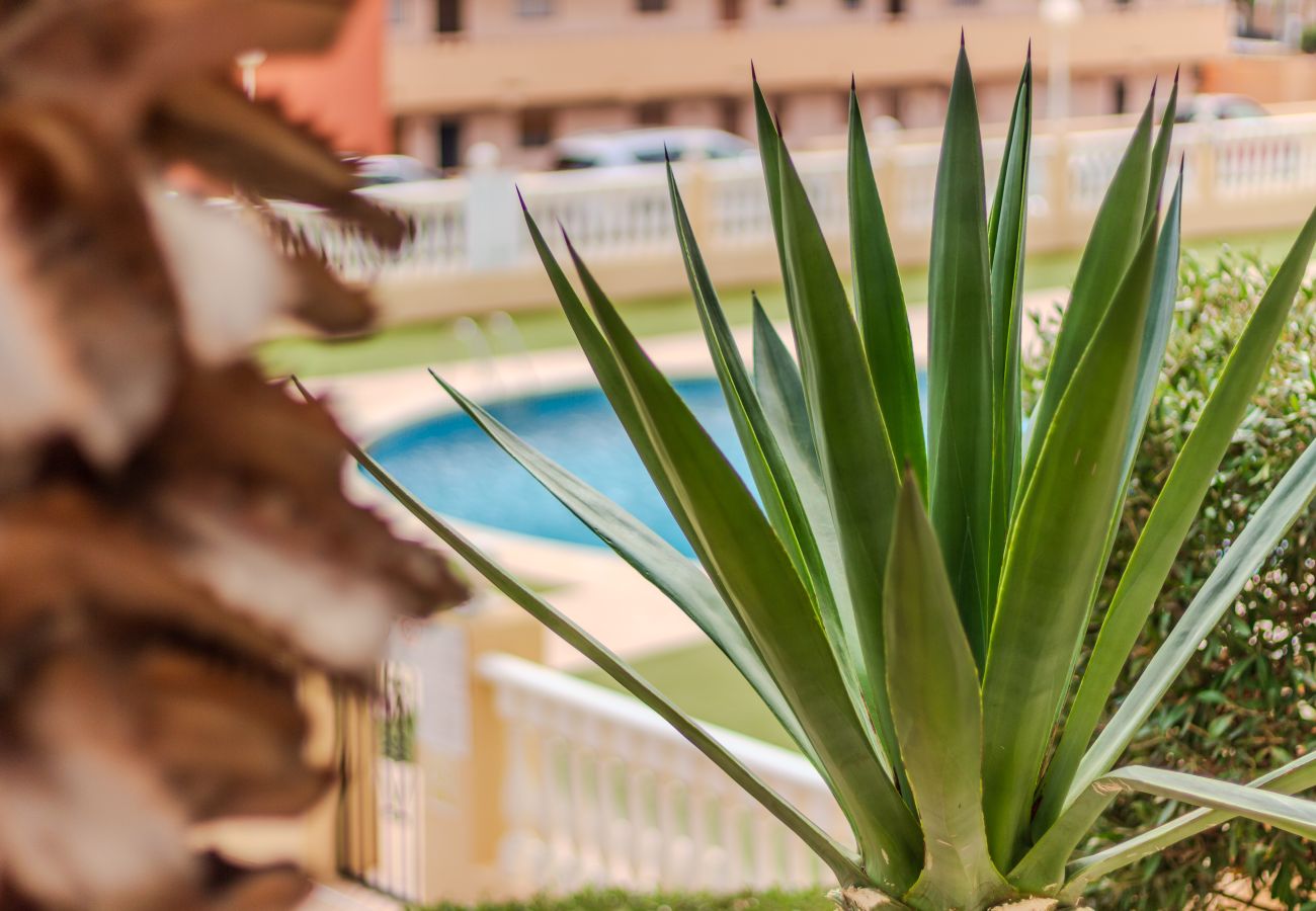 Apartamento en Torrevieja - Bahía Azul - Ideal para el relax y teletrabajo