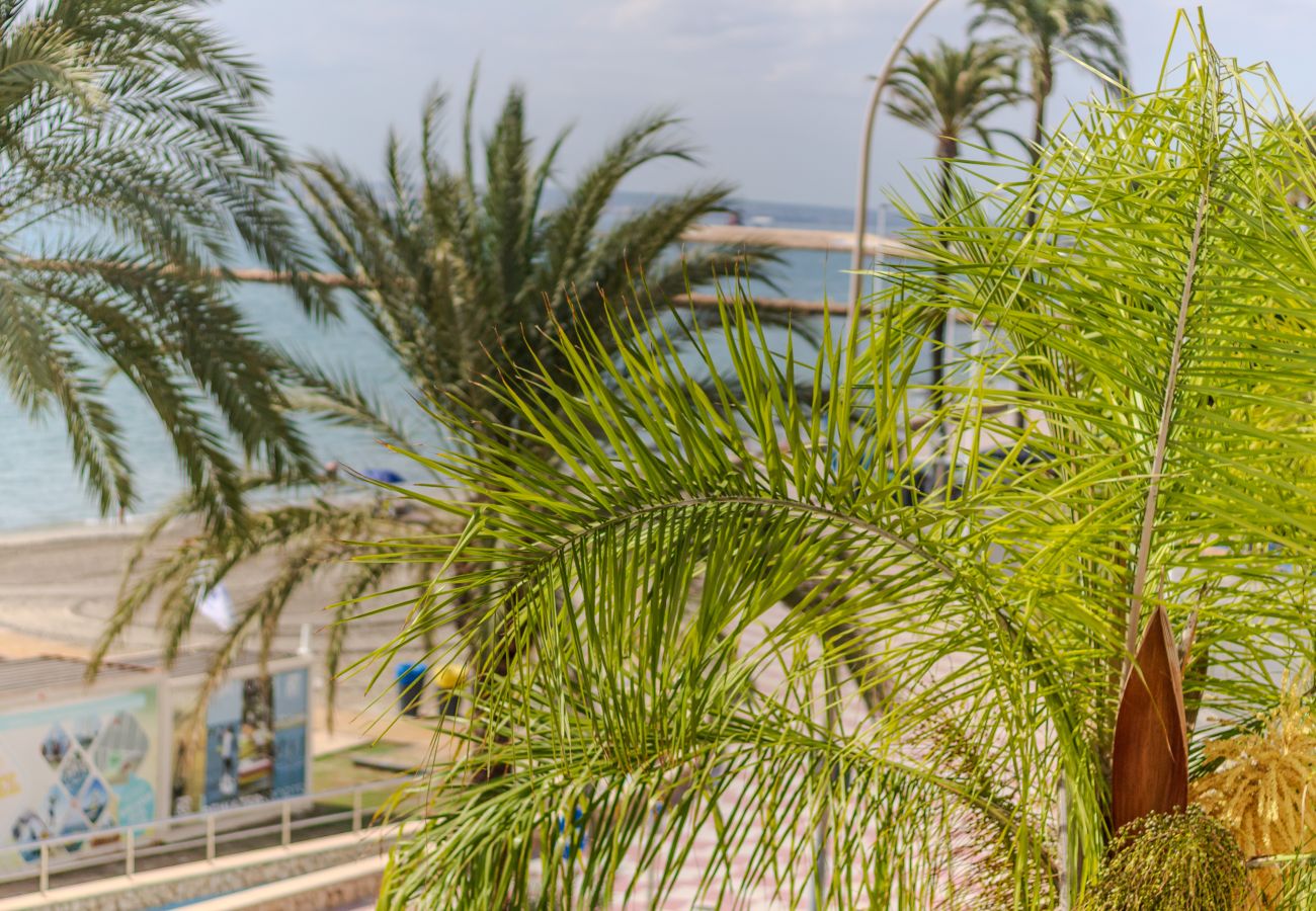 Apartamento en Santa Pola - Primera línea de playa (Media estancia +11 días)