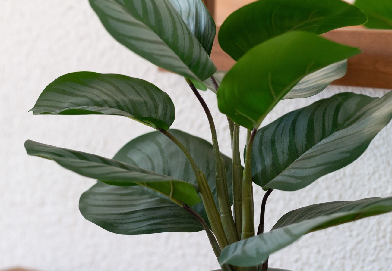 Apartamento en Santa Pola - Sol y Mar cerca del aeropuerto