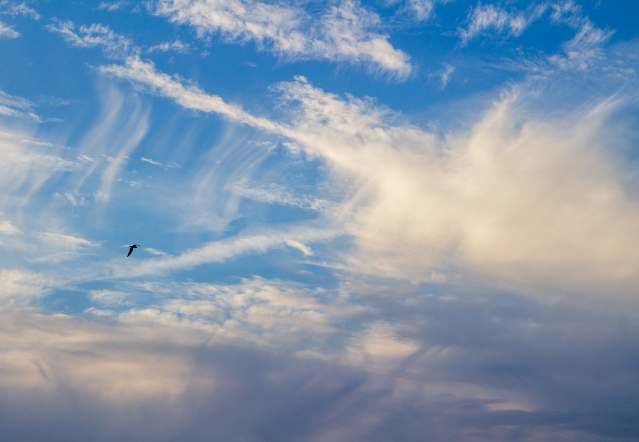 Apartamento en Santa Pola - Balcón frente al mar