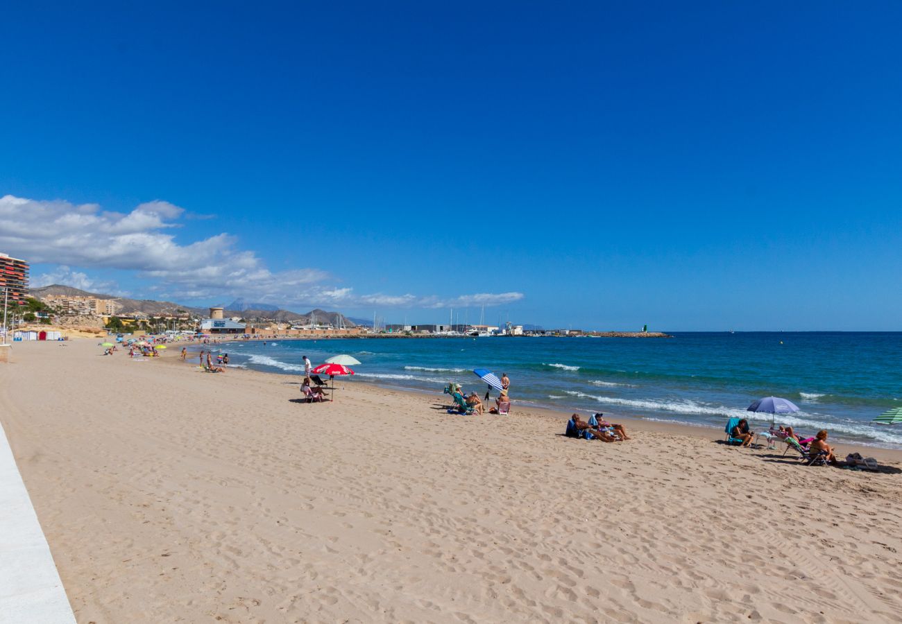 Apartment in El Campello - Primera Línea en El Campello