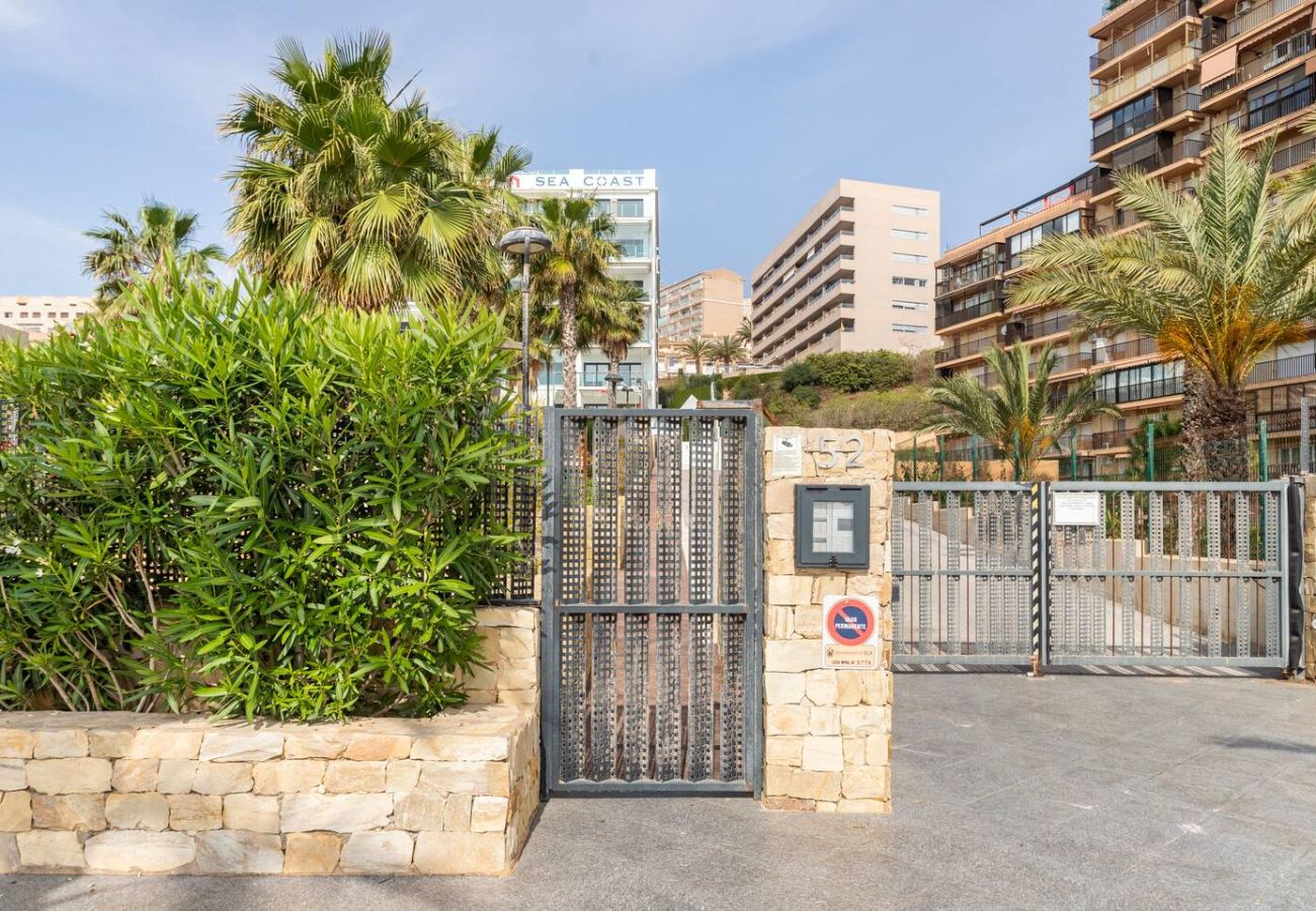 Apartment in Arenales del Sol - #048 - Euromarina