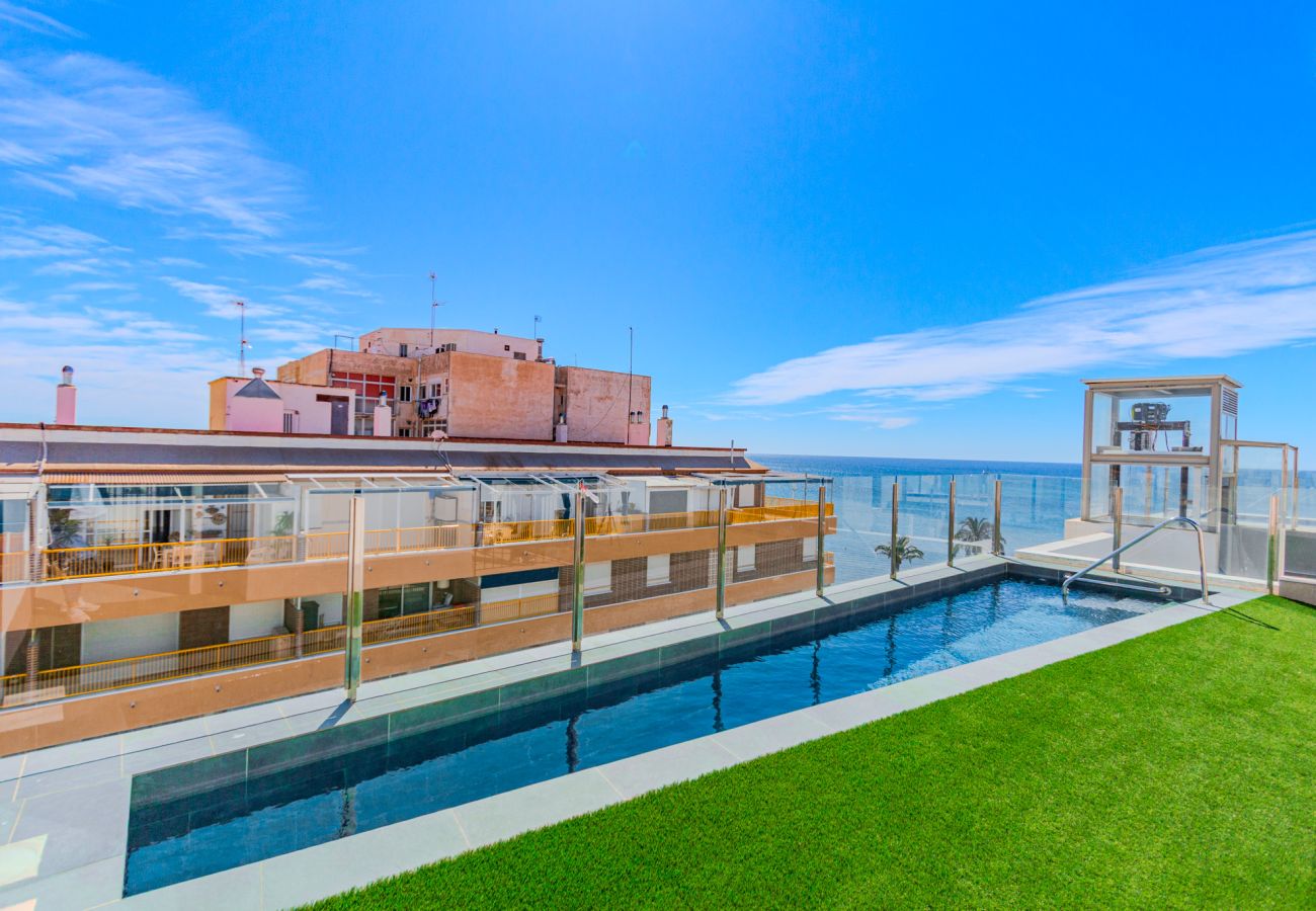 Apartment in santa pola - La Mar - Beach and pool