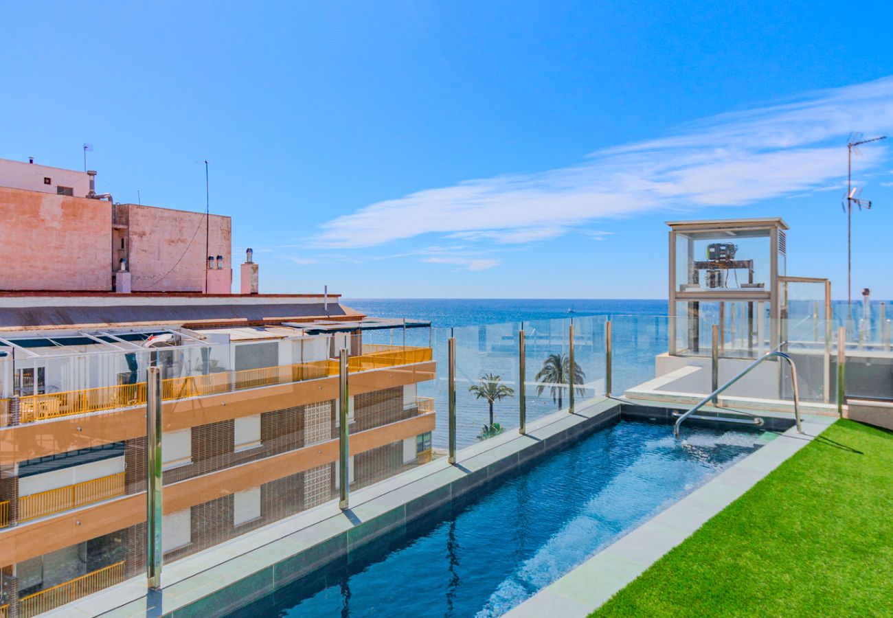 Apartment in santa pola - La Mar - Beach and pool