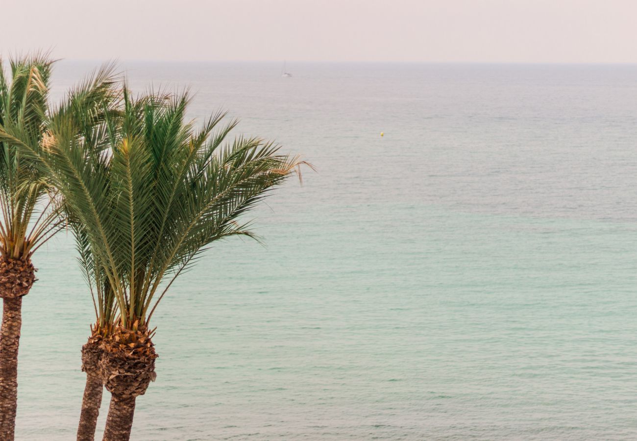 Apartment in santa pola - Primera linea de playa cerca de Alicante