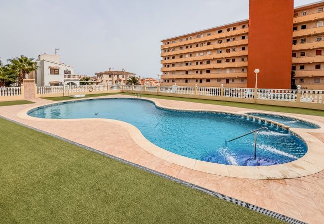 Apartment in Torrevieja - Bahía Azul - Ideal para el relax y teletrabajo