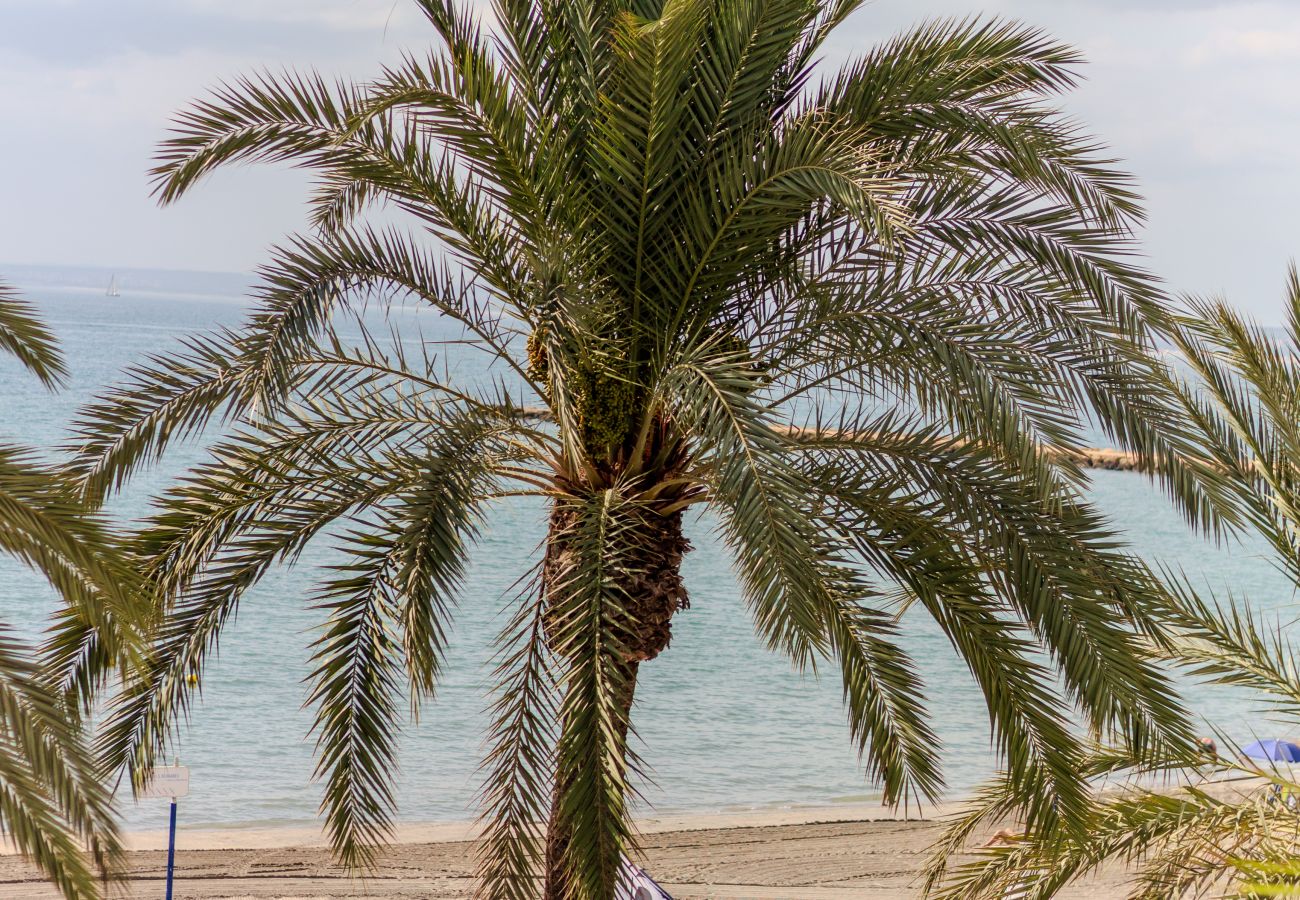 Apartment in santa pola - Primera línea de playa (Media estancia +11 días)
